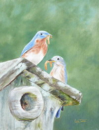 Bluebirds Painting